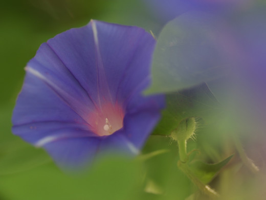 426771 (a): :1600x1200